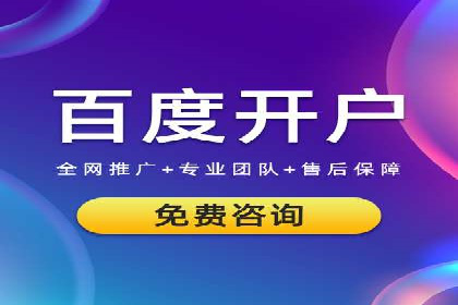 SEM公司案例研究：数据驱动营销策略